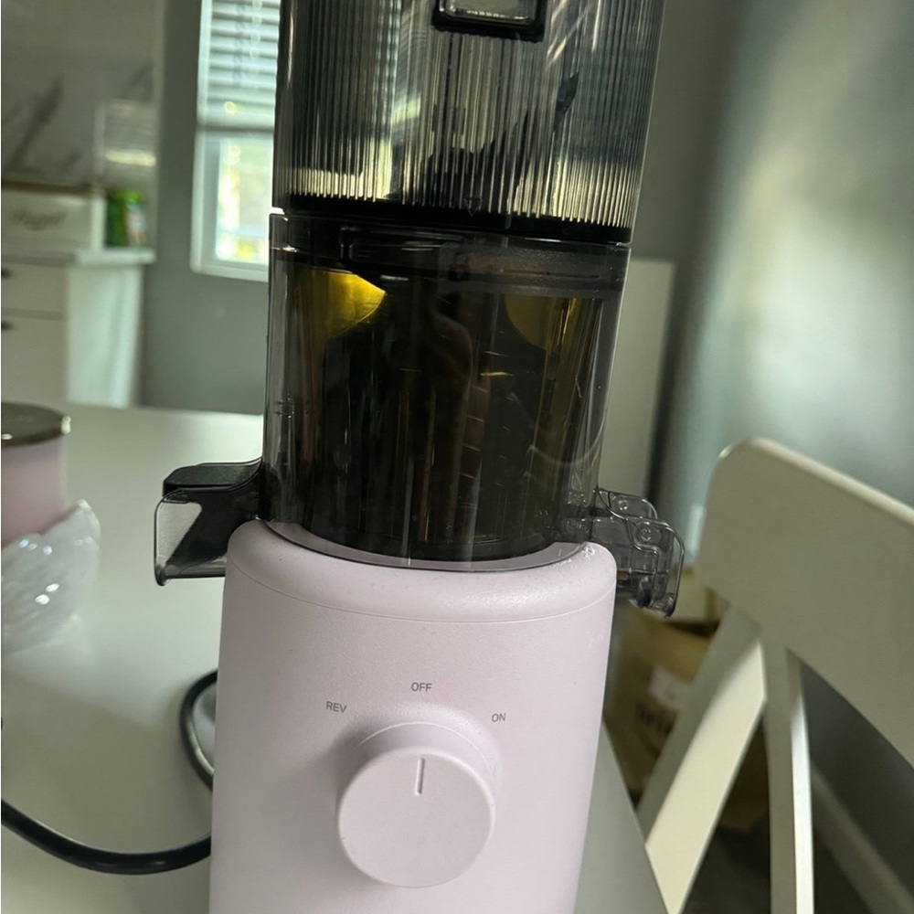 Hurom H31A Juicer